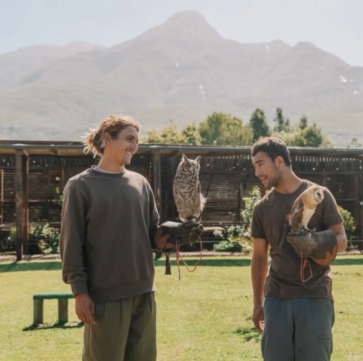 Garden Route Birds of Prey Centre Activities in Garden Route