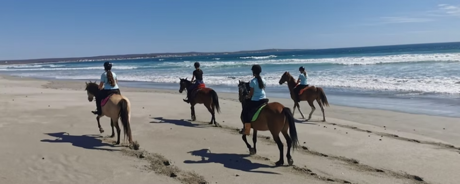 Drikus Horse Trails Horse Riding Activities in Paternoster West Coast Western Cape
