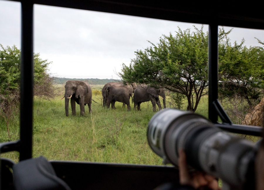 Royal Thonga Safari Lodge Accommodation in the Tembe Elephant Park Manguzi KwaZulu Natal