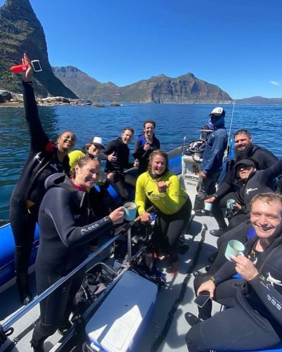Animal Ocean Activities in Hout Bay Cape Town Western Cape