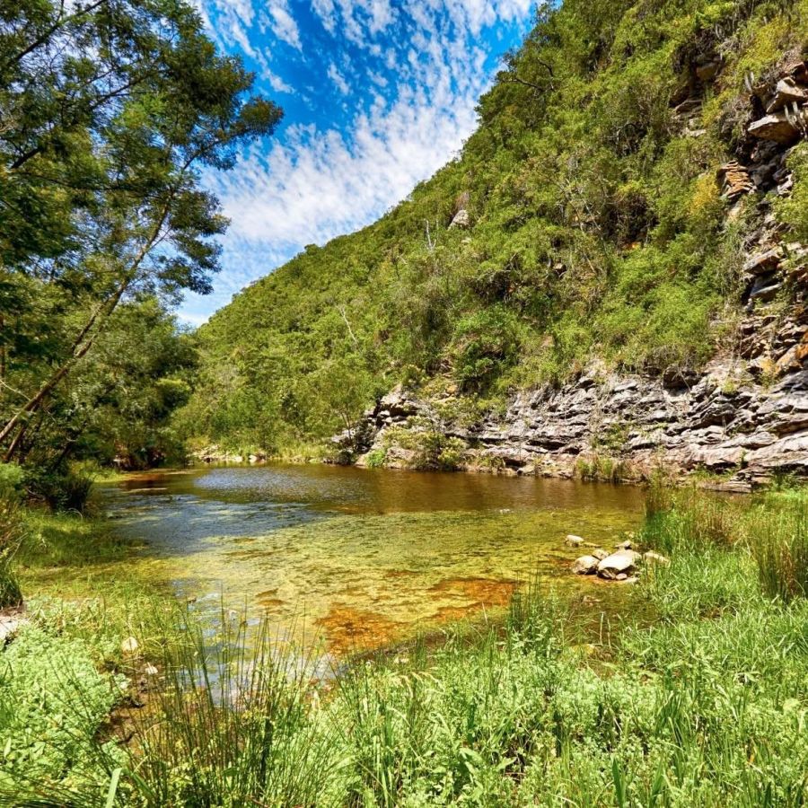 Bergrivier Eco Retreat, Thornhill, Eastern Cape