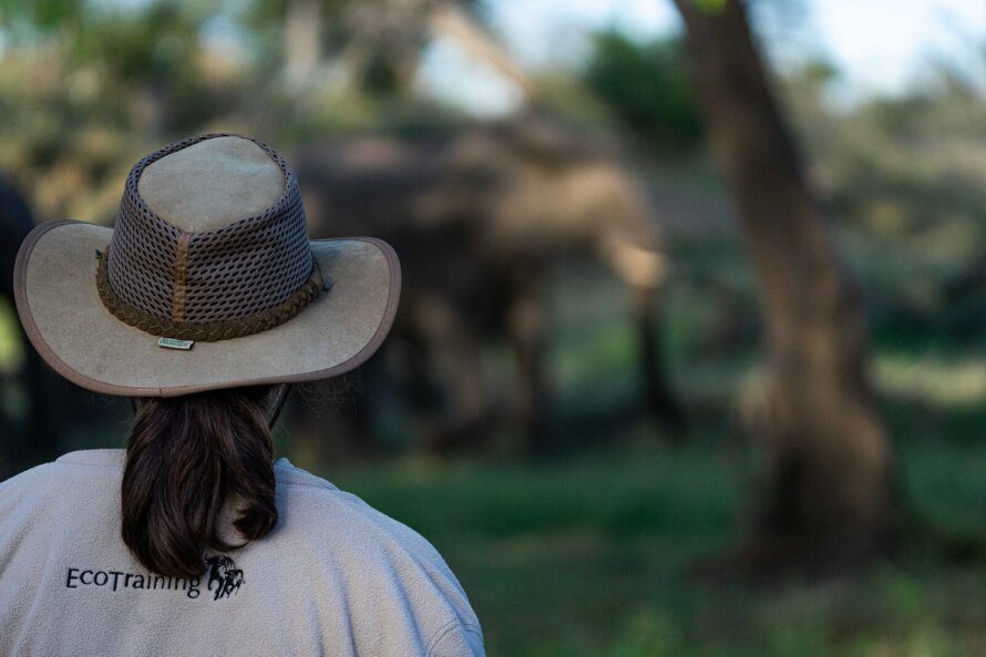 EcoTraining Guides and Guardians Wildlife Courses Activities in South Africa