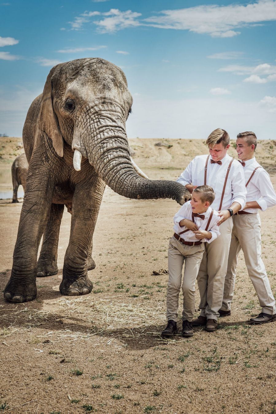 Beyond Photography in Johannesburg Gauteng