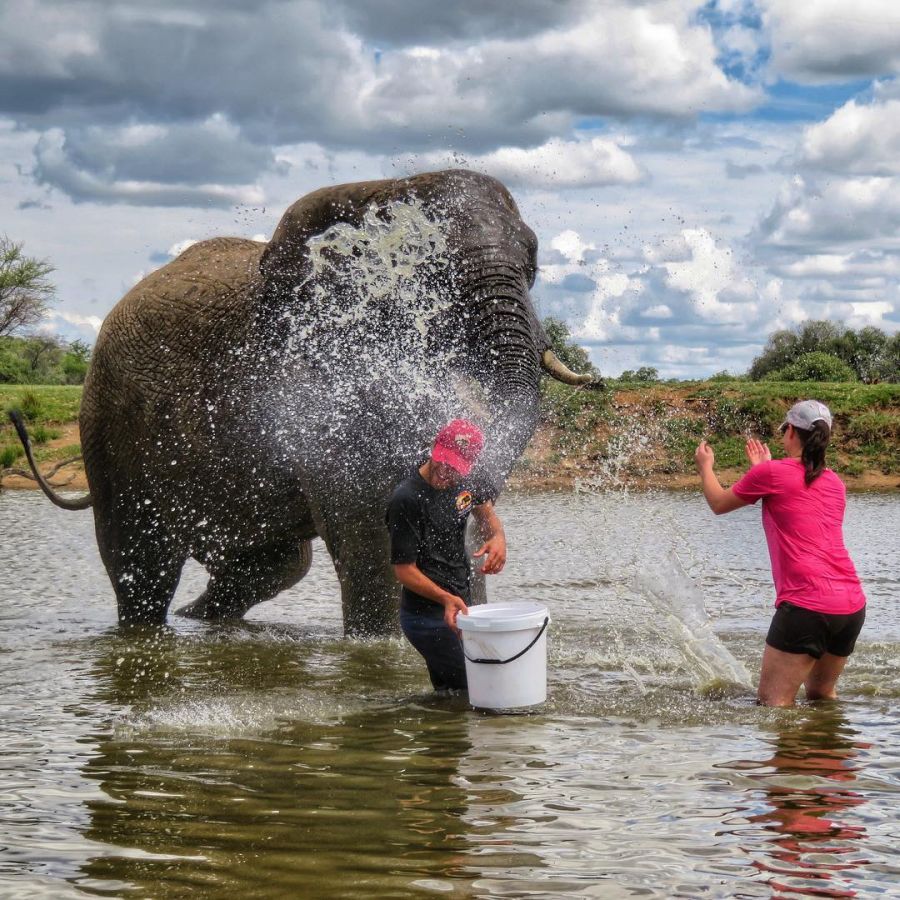 Adventures With Elephants Activities in Bela Bela Limpopo