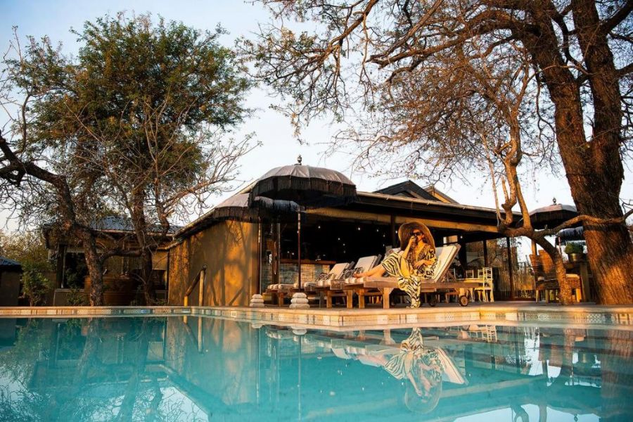 Safari Moon Luxury Bush Lodge Accommodation in Hoedspruit Limpopo