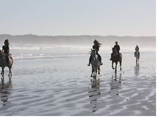 Drikus Horse Trails Horse Riding Activities in Paternoster West Coast Western Cape