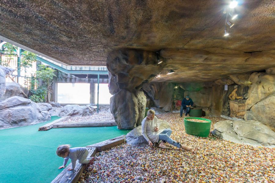 Scratch Patch Activities in the V&A Waterfront Cape Town