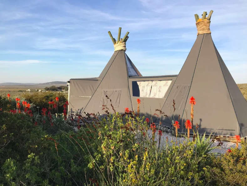 Farr Out B&B Accommodation in Paternoster West Coast Western Cape