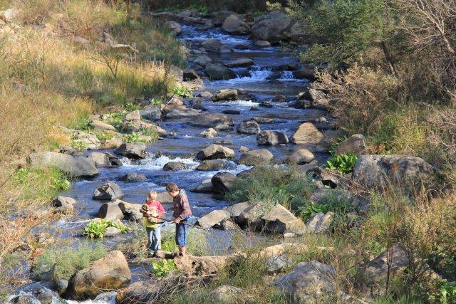 Hornbill Lodge Accommodation in Magaliesburg Gauteng
