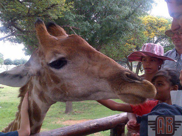 Adventure n Beyond. Party Venue in Krugersdorp Gauteng