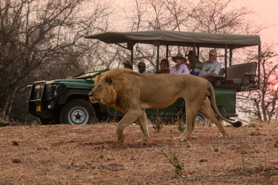 Musango Safari Camp Accommodation in Lake Kariba Zimbabwe