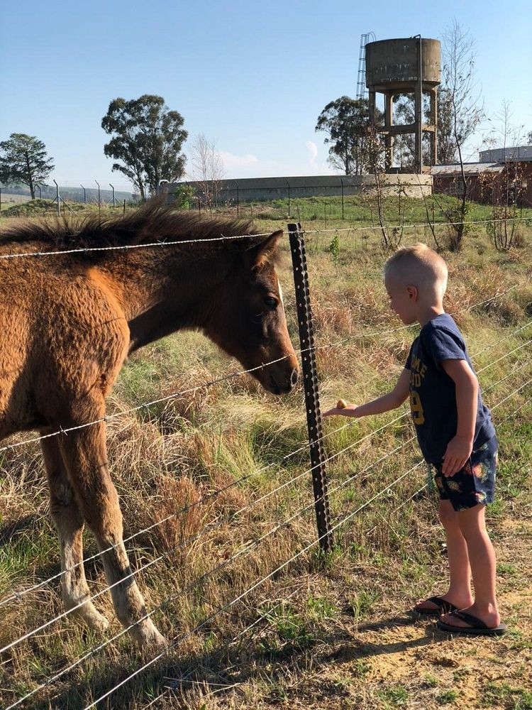 Grace Country Retreat Accommodation in Memel Free State
