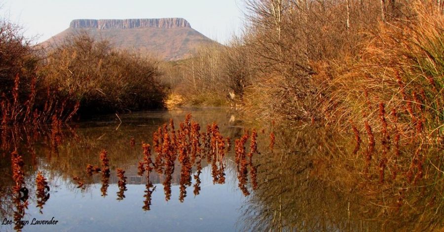 Blanco Guest Farm Accommodation in Tarkastad Eastern Cape