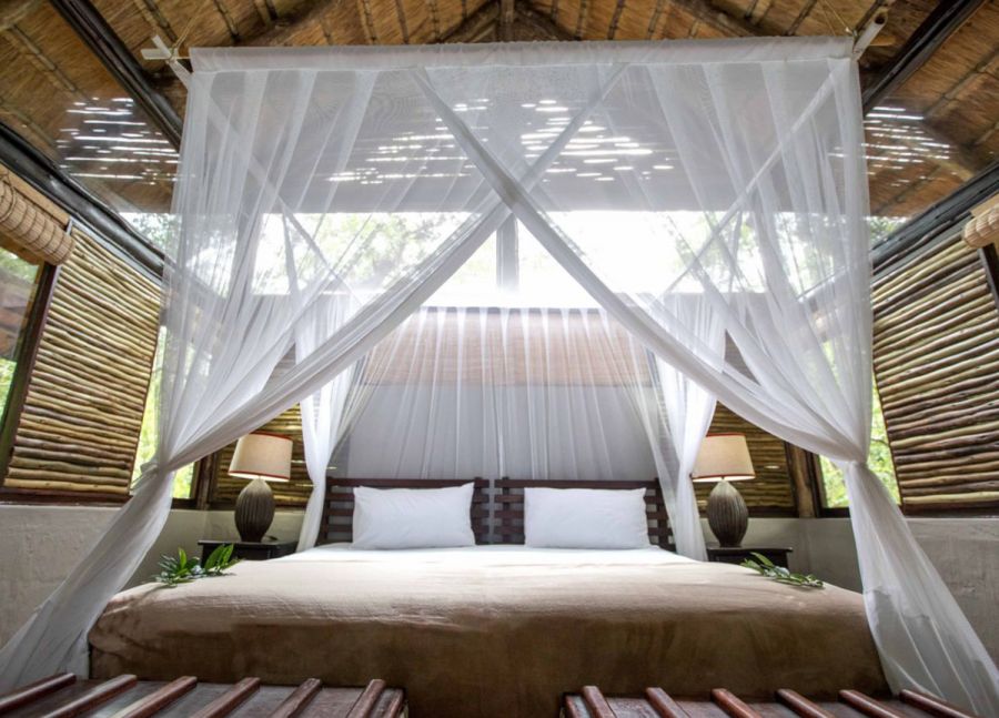 Royal Thonga Safari Lodge Accommodation in the Tembe Elephant Park Manguzi KwaZulu Natal