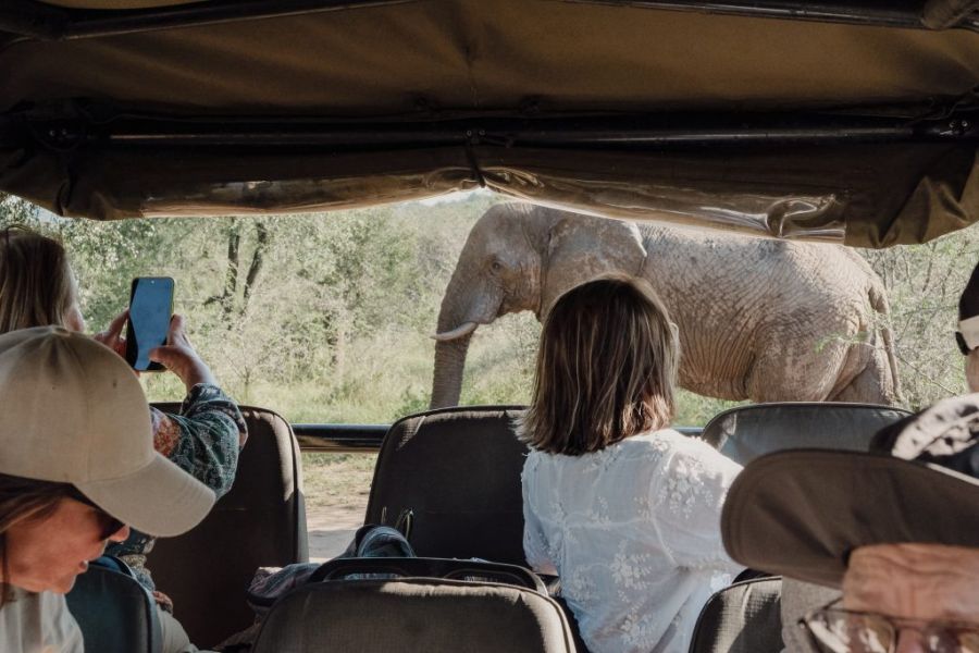 Safari for Six Activities in Hluhluwe and St Lucia KwaZulu Natal