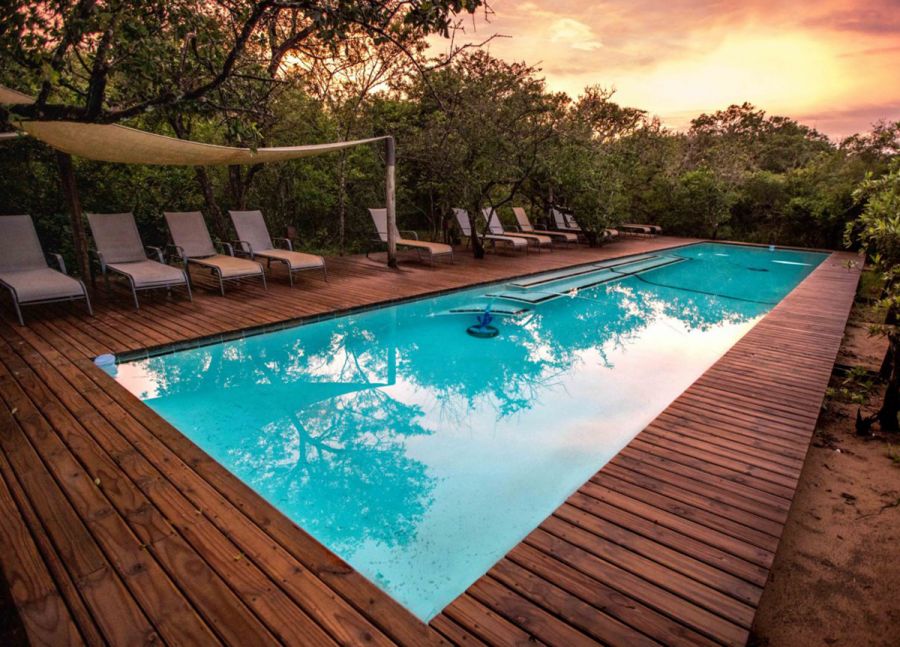 Royal Thonga Safari Lodge Accommodation in the Tembe Elephant Park Manguzi KwaZulu Natal