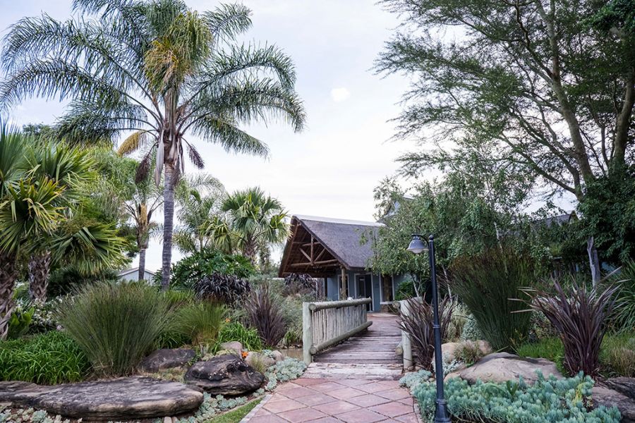 Addo Wildlife Addo Eastern Cape Bargain Buys