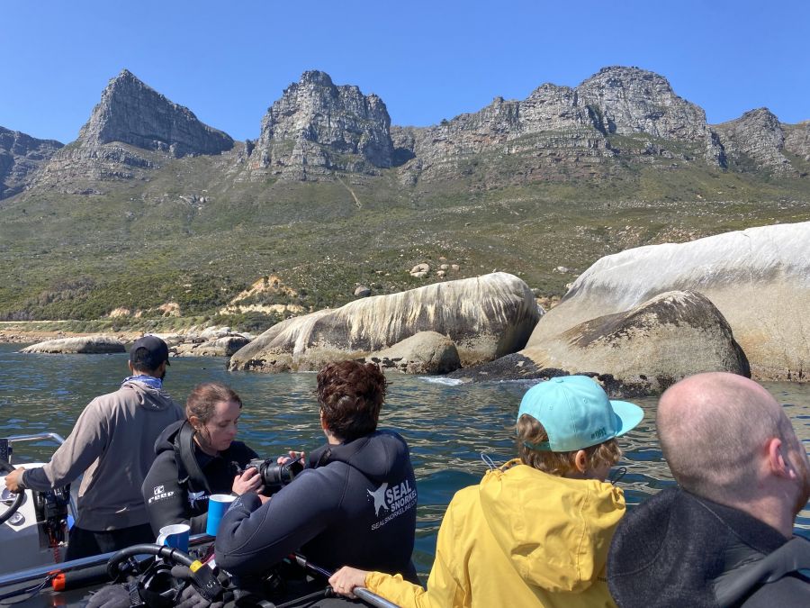Animal Ocean Activities in Hout Bay Cape Town Western Cape