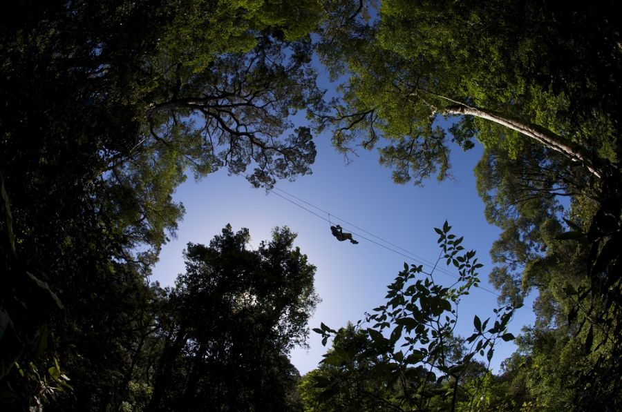 Stormsriver Adventures Activities in Tsitsikamma Eastern Cape