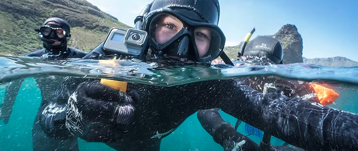 Animal Ocean Activities in Hout Bay Cape Town Western Cape