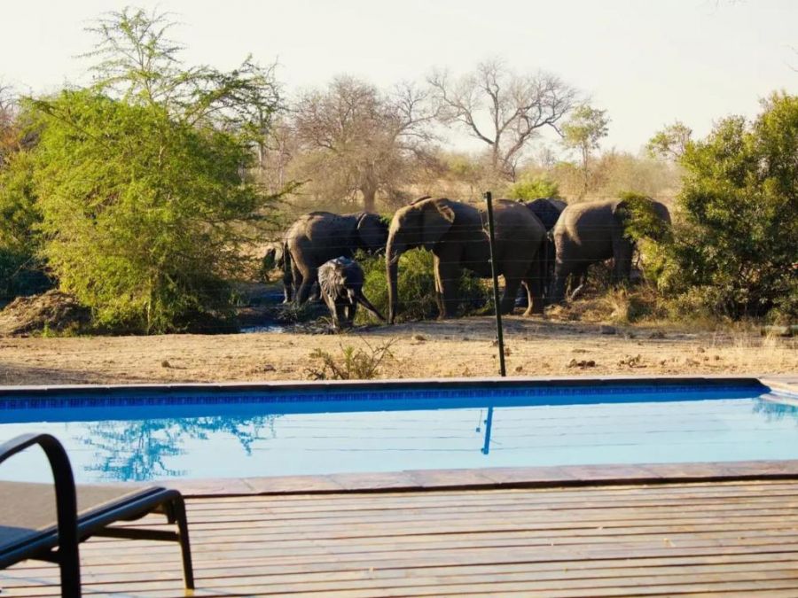 Zazu Private Bush Lodge
