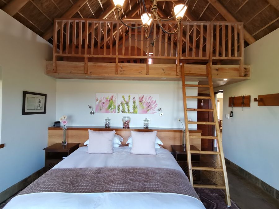 Paradise Cove Accommodation Victoria Bay, George, Garden Route, Western Cape