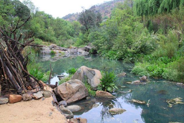 Hornbill Lodge Accommodation in Magaliesburg Gauteng
