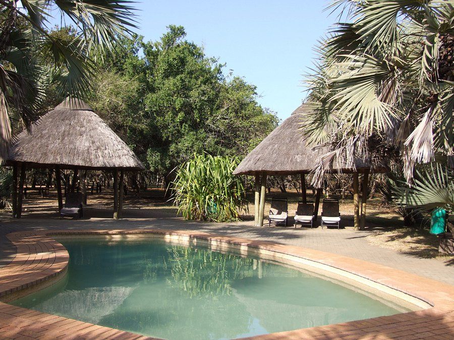 Bonamanzi Game Reserve Accommodation in Hluhluwe KwaZulu Natal