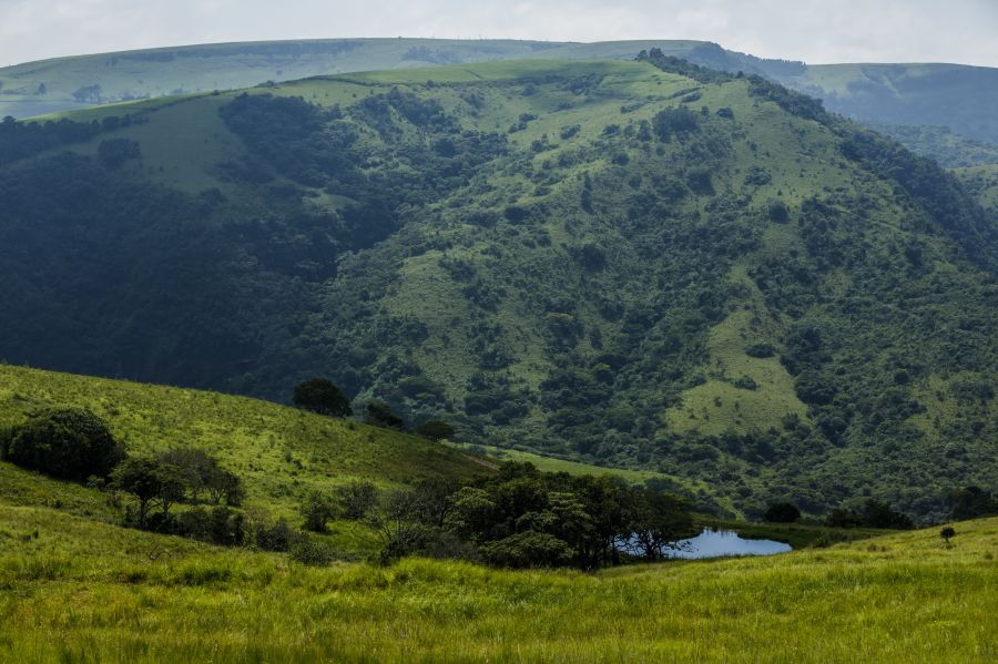 Gwahumbe Game Lodge and Spa Game Reserve in Illovo Midlands KwaZulu Natal