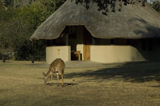 Bonamanzi Game Reserve Accommodation in Hluhluwe KwaZulu Natal