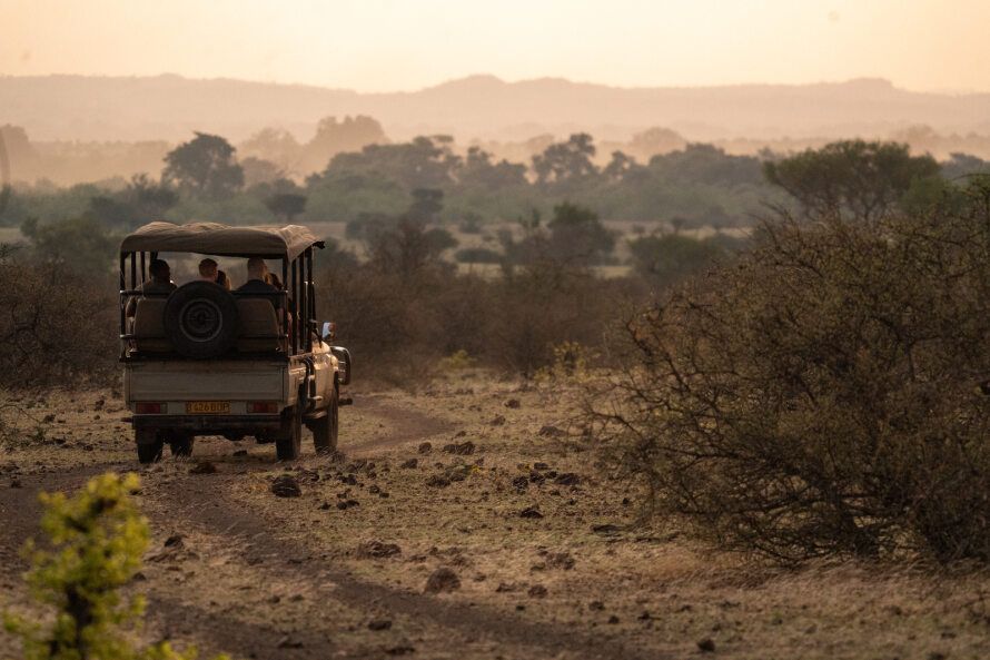 EcoTraining Guides and Guardians Wildlife Courses Activities in South Africa