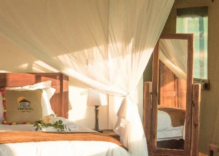Timbavati Safari Lodge Accommodation in Hoedspruit Limpopo