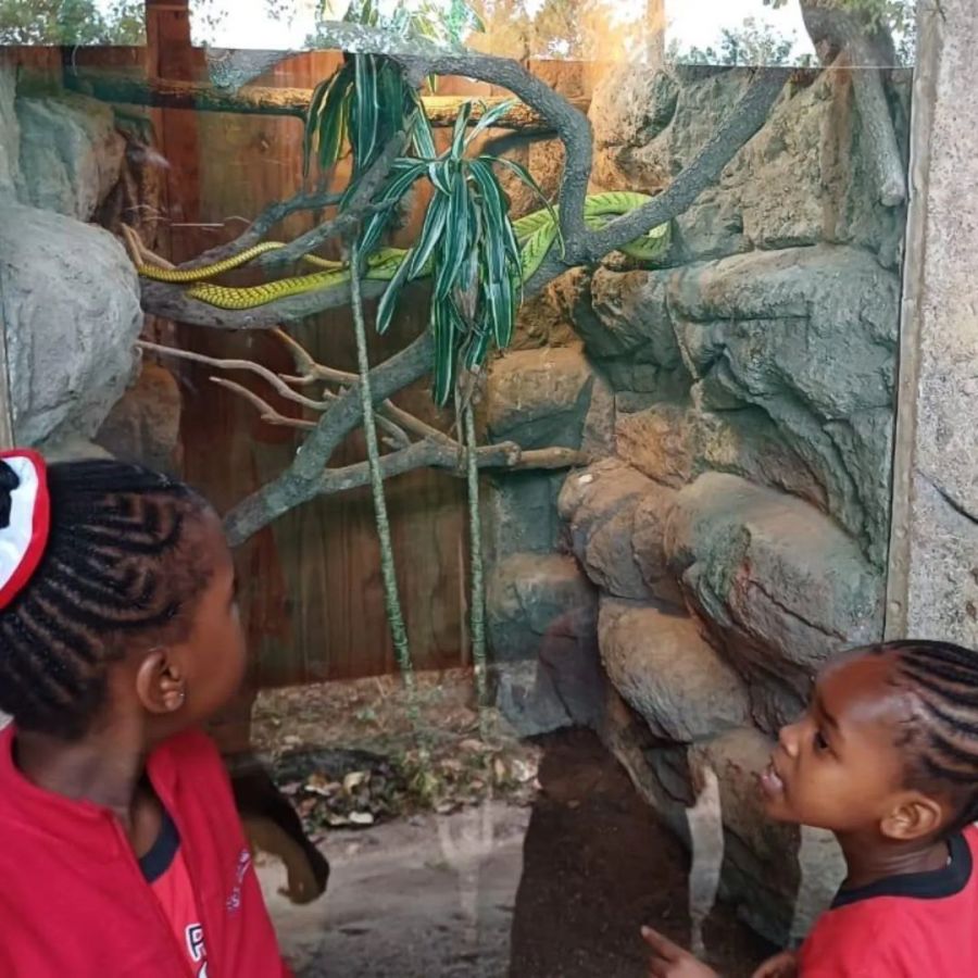 Perry's Bridge Reptile Park Activities in Hazyview Mpumalanga