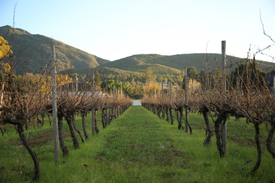 Olive Stone Farm. Accommodation in Montagu Western Cape