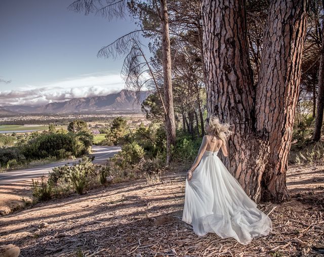 All About Photography in Paarl Winelands Western Cape