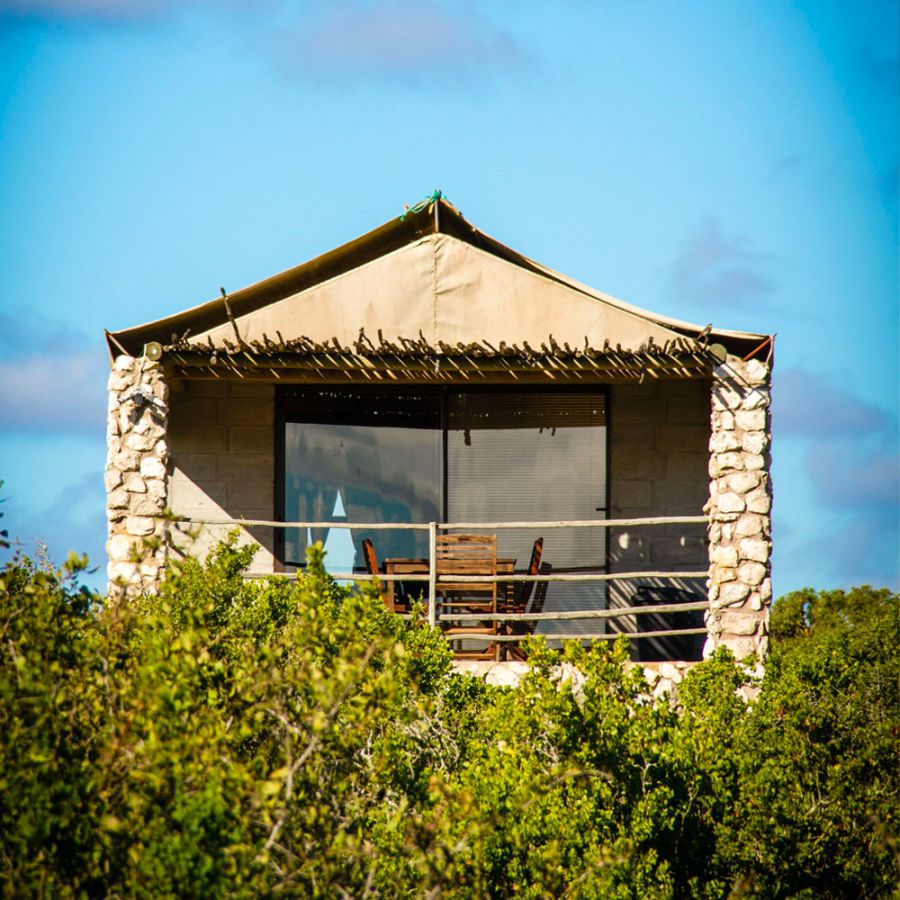 Thali Thali Game Lodge Accommodation in Langebaan Western Cape