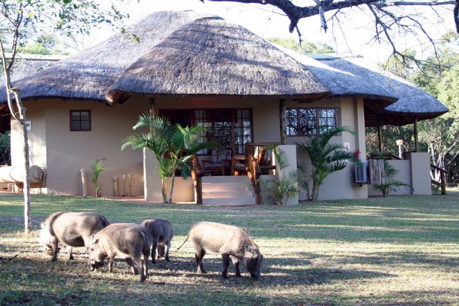 Bonamanzi Game Reserve Accommodation in Hluhluwe KwaZulu Natal