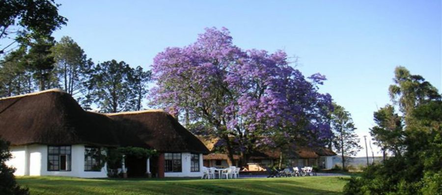 Antbear Eco Lodge Accommodation in the Central Drakensberg KwaZulu-Natal