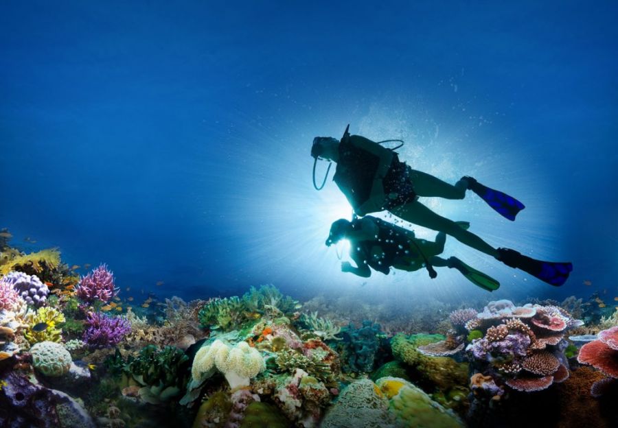 Scubaco Diving and Travel Activities in Umkomaas South Coast KwaZulu-Natal