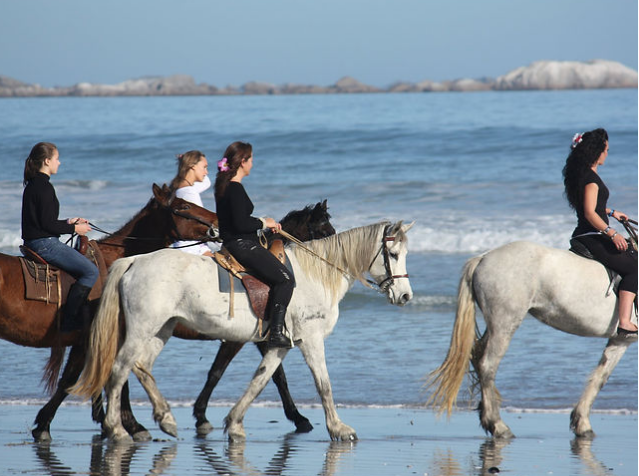 Drikus Horse Trails Horse Riding Activities in Paternoster West Coast Western Cape