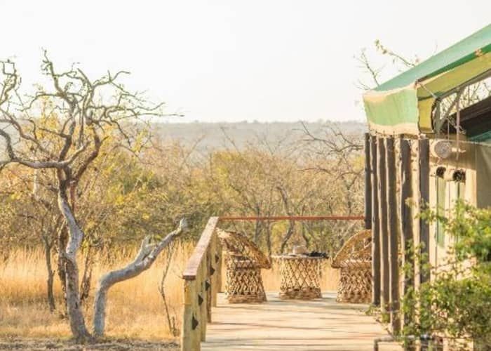 Timbavati Safari Lodge Accommodation in Hoedspruit Limpopo