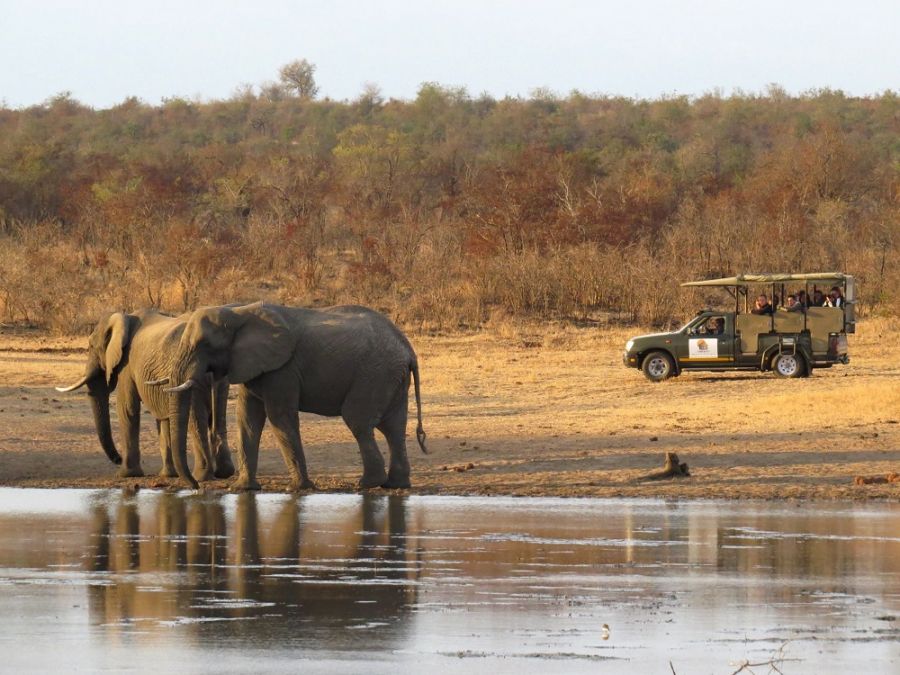 Timbavati Safari Lodge Accommodation in Hoedspruit Limpopo