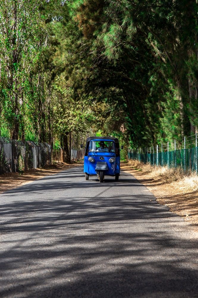Tuk Tuk Franschhoek Transportation Activity in Franschhoek Western Cape