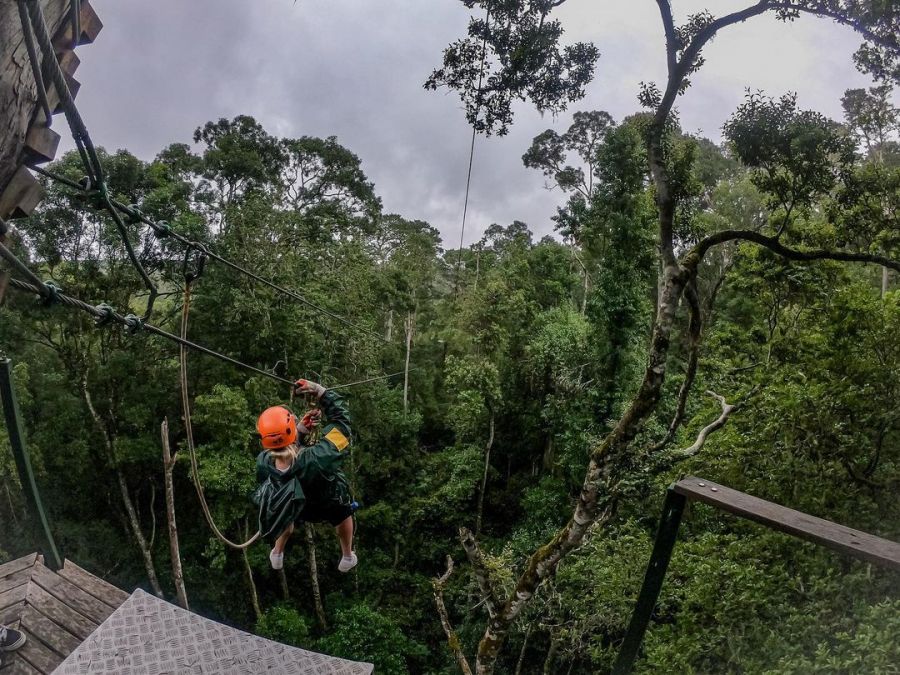 Stormsriver Adventures Activities in Tsitsikamma Eastern Cape