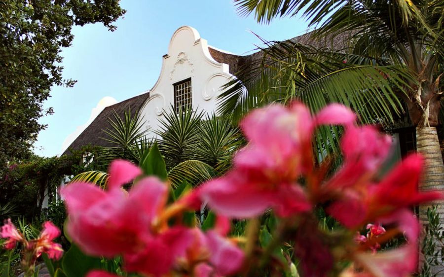 Wittedrift Manor House  Accommodation in Tulbagh Western Cape