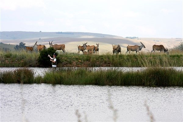 Elandskloof Trout Farm Accommodation Dullstroom