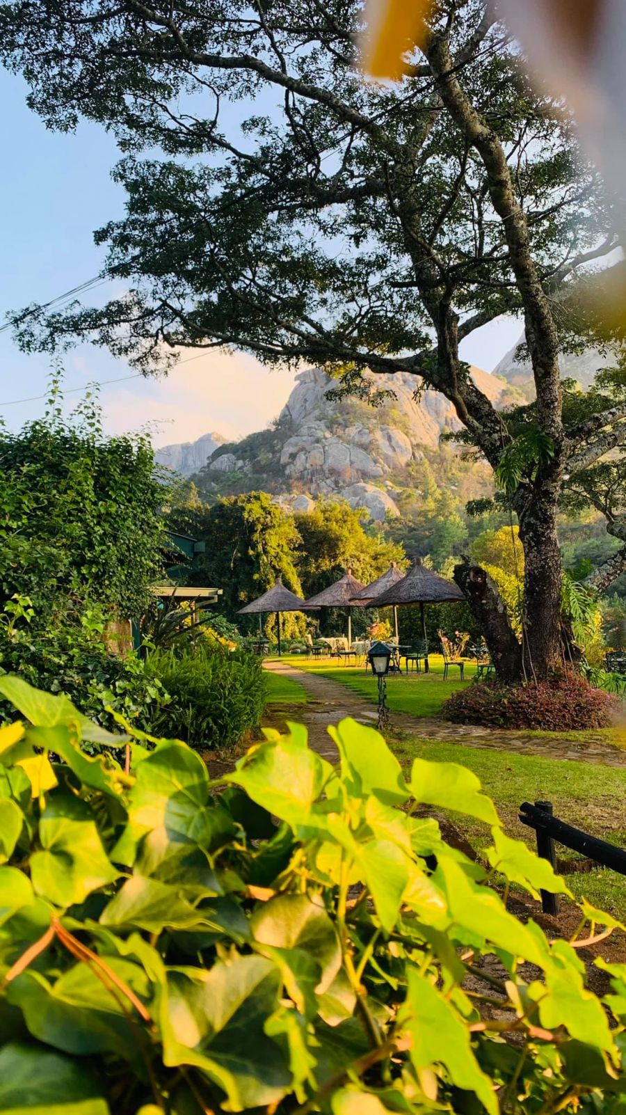 Pinetree Inn Accommodation in Nyanga Zimbabwe