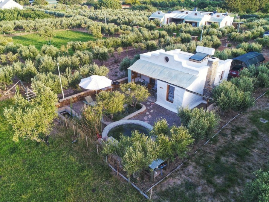 Olive Stone Farm. Accommodation in Montagu Western Cape