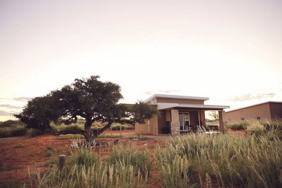 Kgalagadi Lifestyle Lodge Accommodation near the Kgalagadi Transfrontier Park Northern Cape