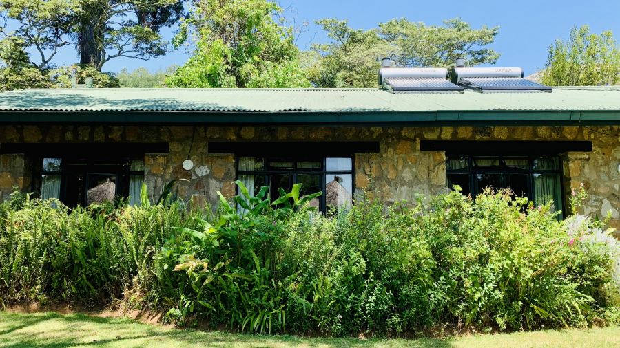 Pinetree Inn Accommodation in Nyanga Zimbabwe